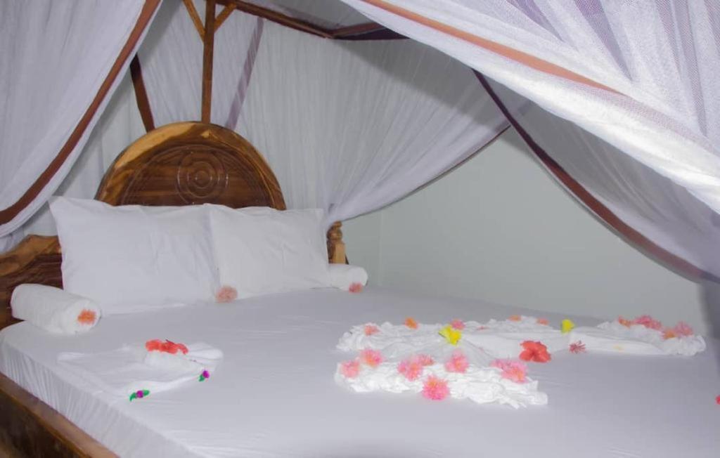 Summer Dream Lodge Paje Rum bild